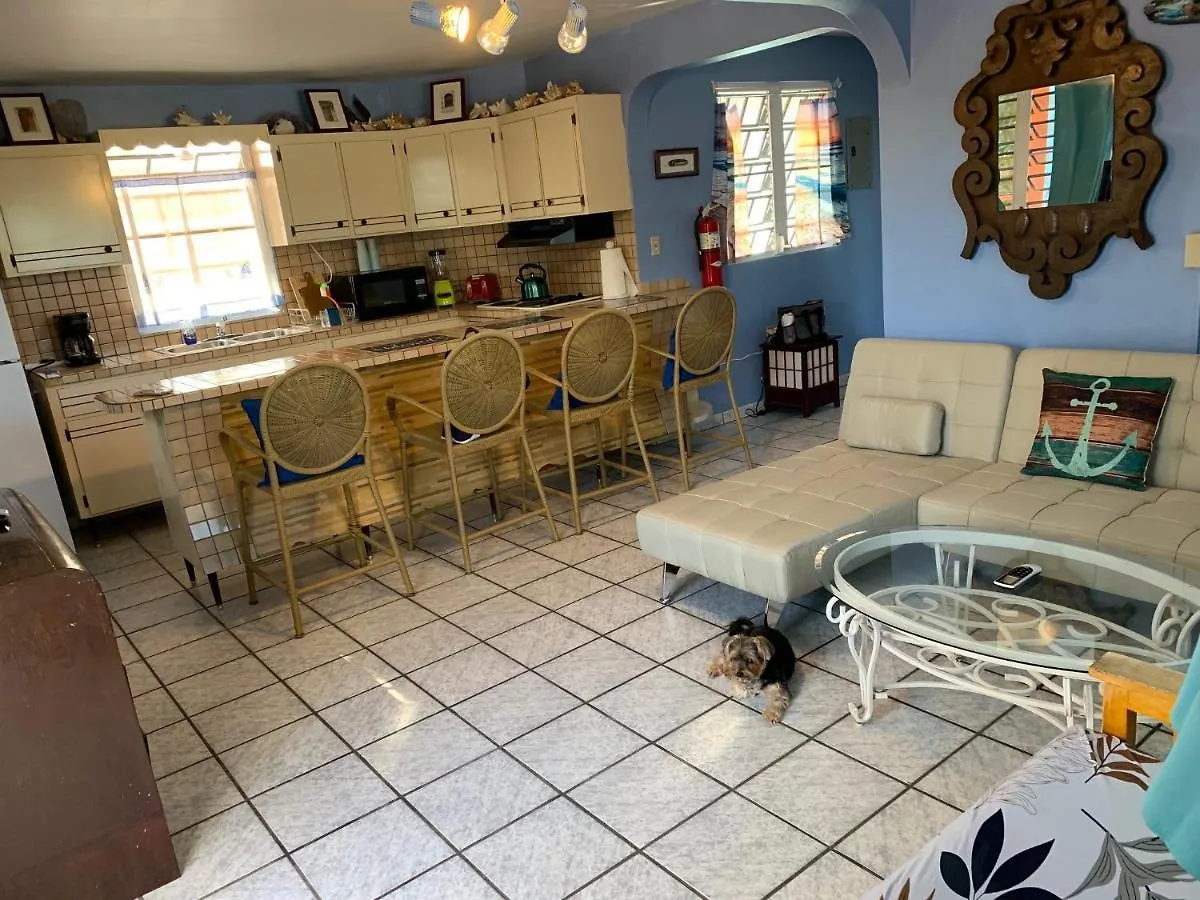 Esperanza Inn Guesthouse Vieques Puerto Rico